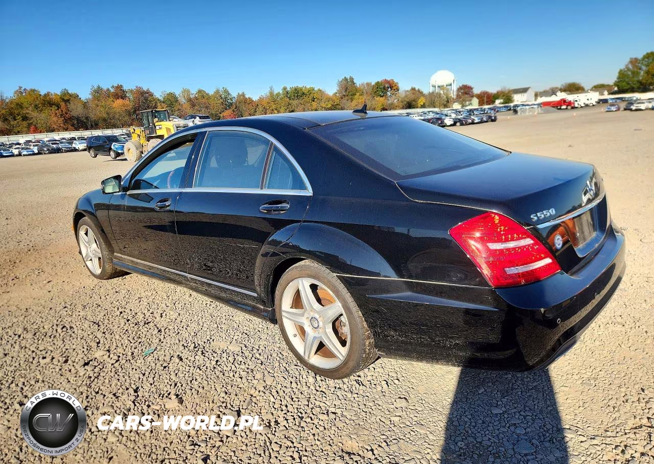 2010 Mercedes-Benz S 550 4Matic VIN:WDDNG8GB7AA288768 - 2
