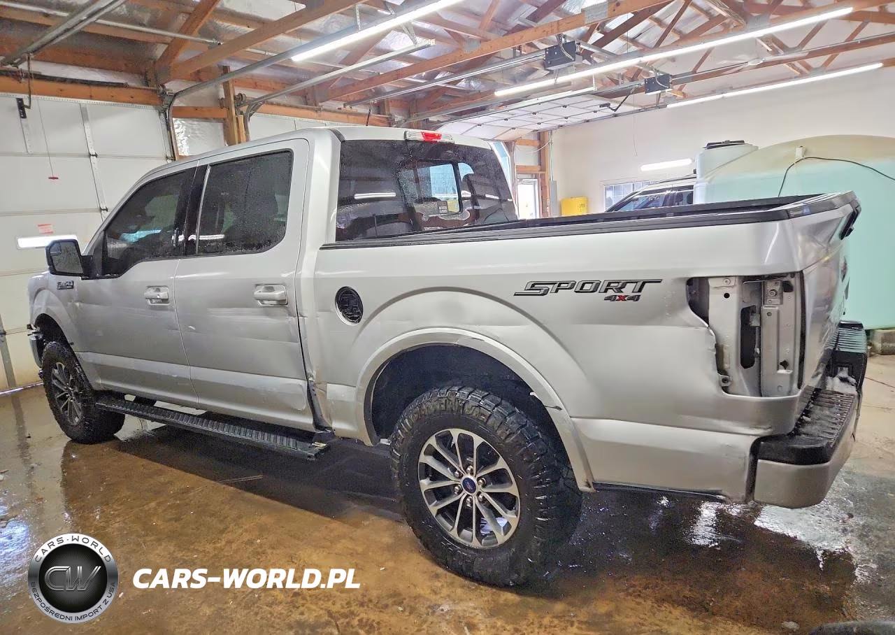 2019 Ford F150 Supercrew VIN:1FTEW1EP8KFA77960 - 2
