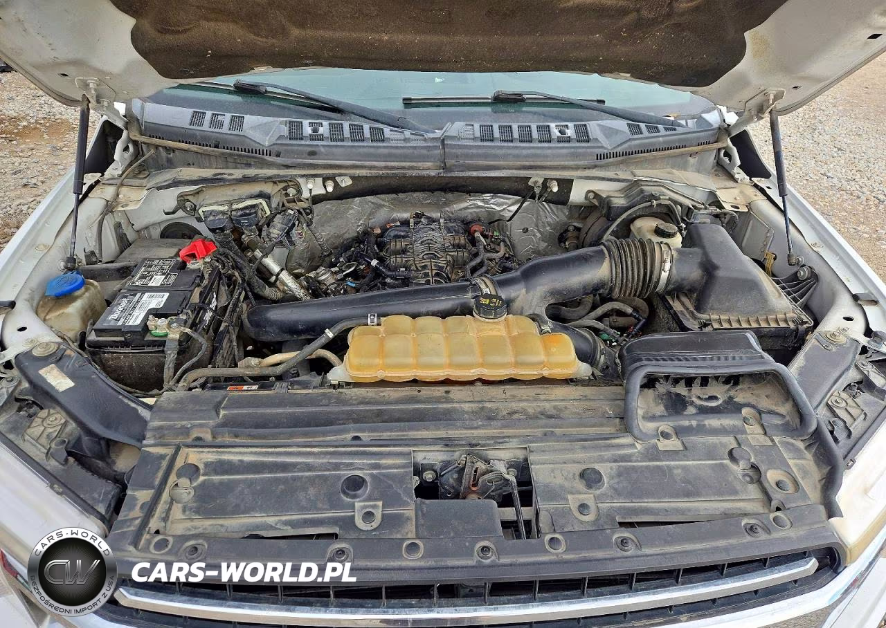 2018 Ford F150 Supercrew VIN:1FTEW1EG0JFA19694 - 11