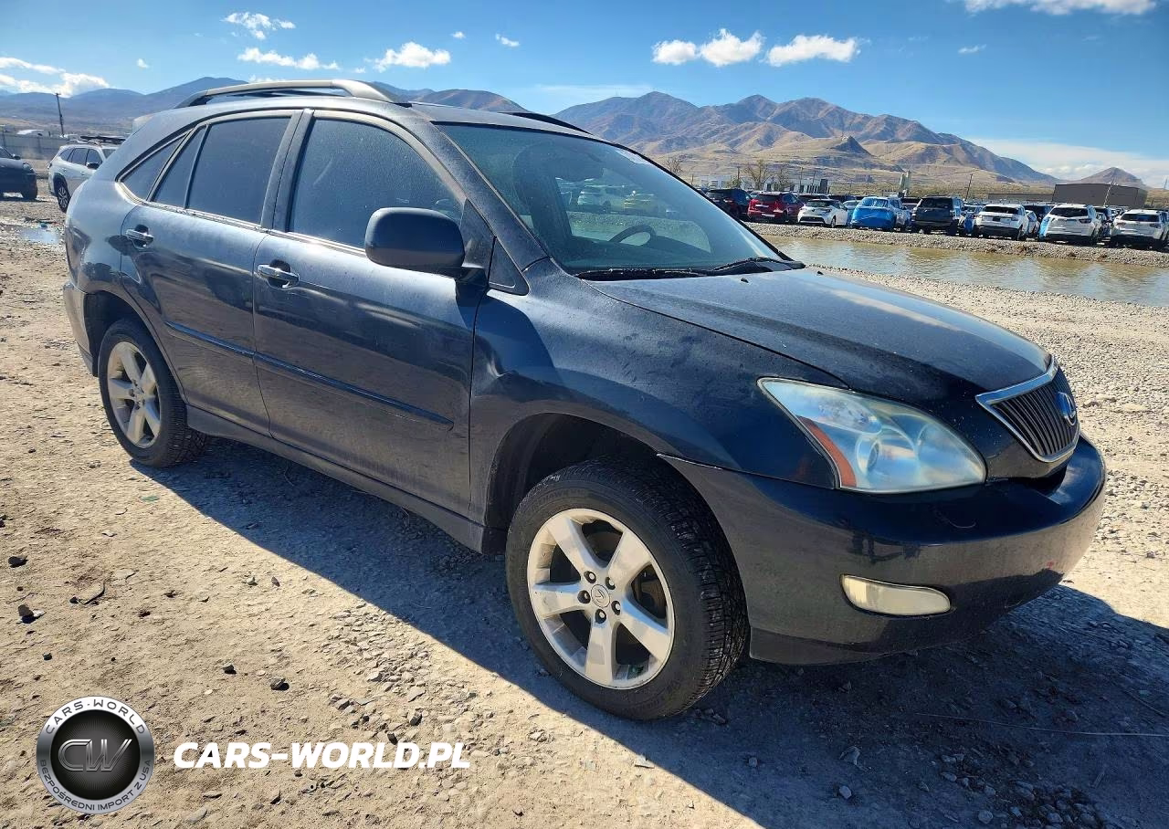 2004 Lexus Rx 330 VIN:JTJHA31U340040305 - 4