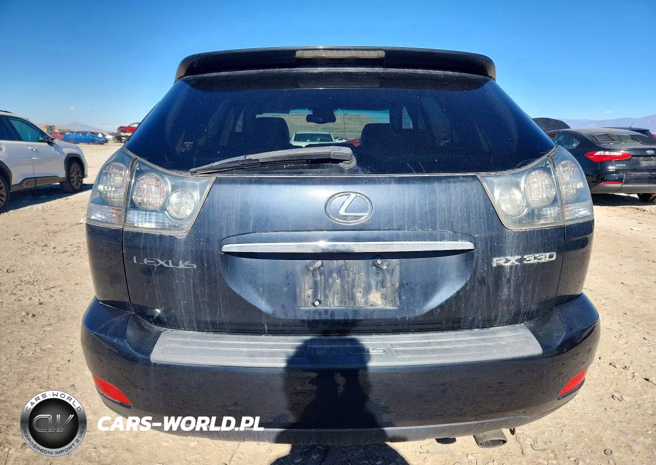 2004 Lexus Rx 330 VIN:JTJHA31U340040305 - 6