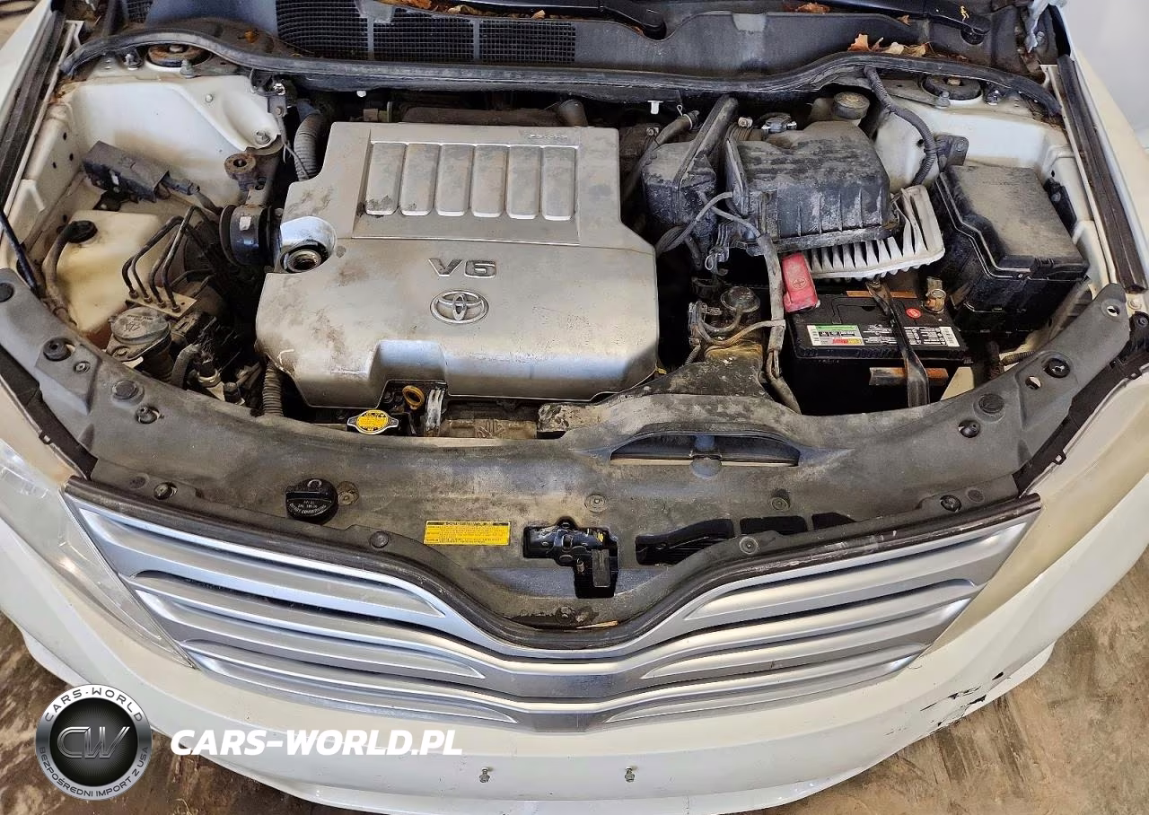 2010 Toyota Venza Awd V6 VIN:4T3BK3BB1AU029491 - 11