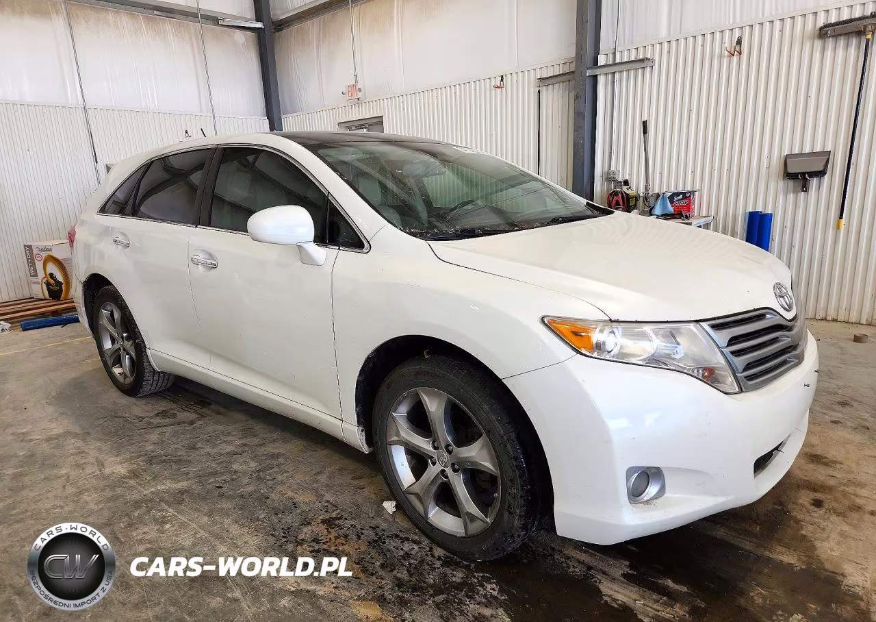 2010 Toyota Venza Awd V6 VIN:4T3BK3BB1AU029491 - 4
