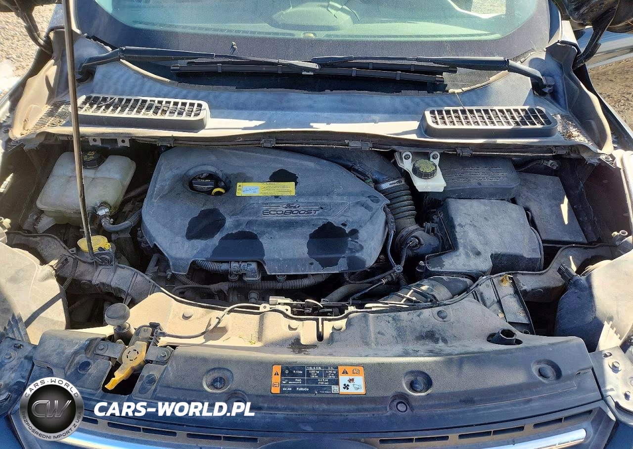 2014 Ford Escape Se VIN:1FMCU0GXXEUD09331 - 11