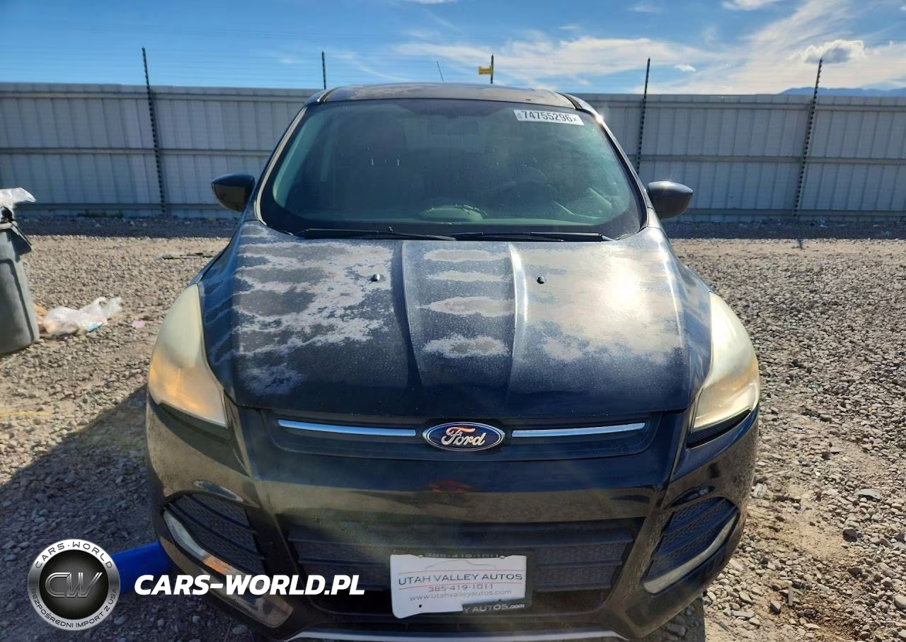 2014 Ford Escape Se VIN:1FMCU0GXXEUD09331 - 5