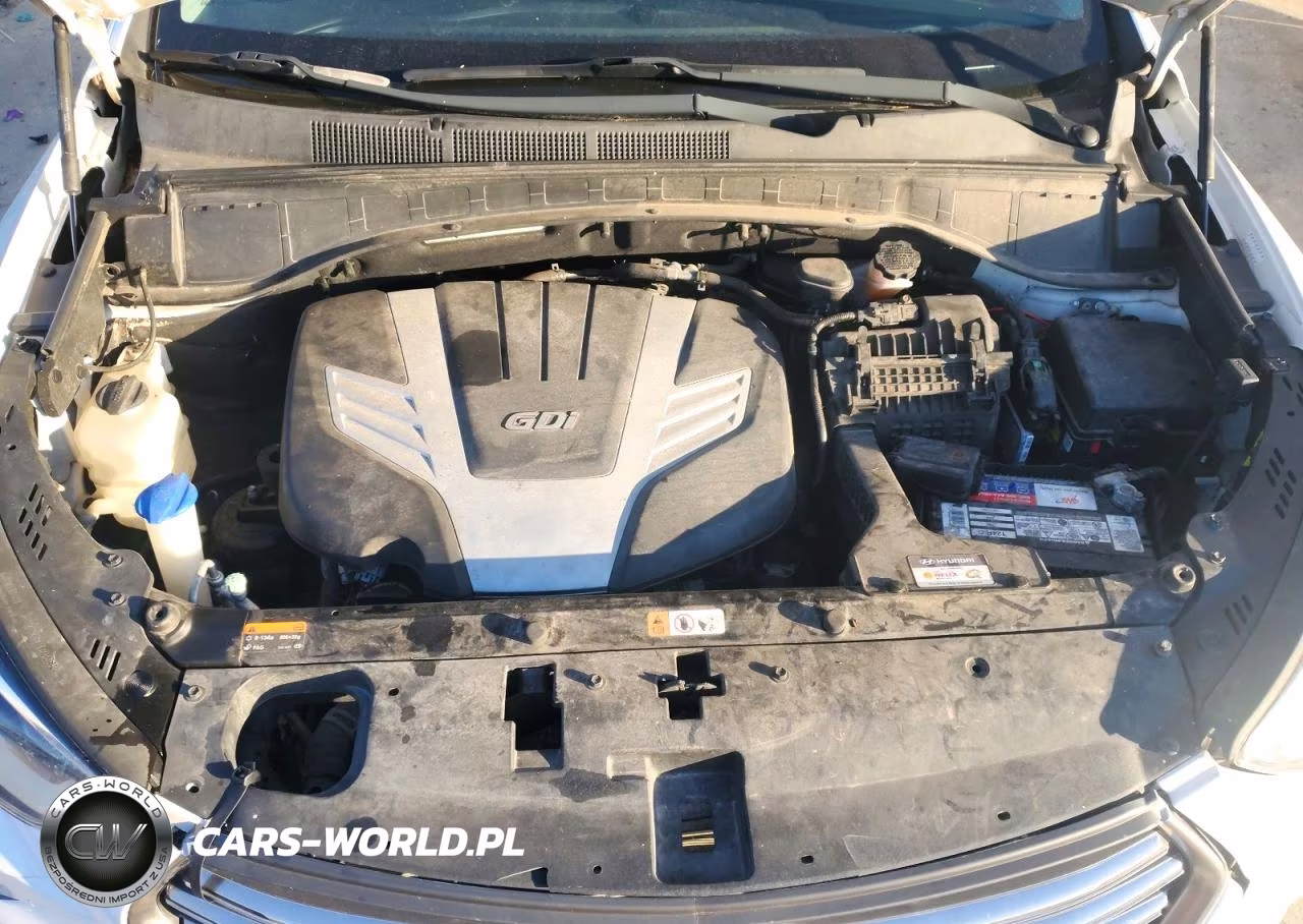 2017 Hyundai Santa Fe Se Ultimate VIN:KM8SR4HF6HU166862 - 12