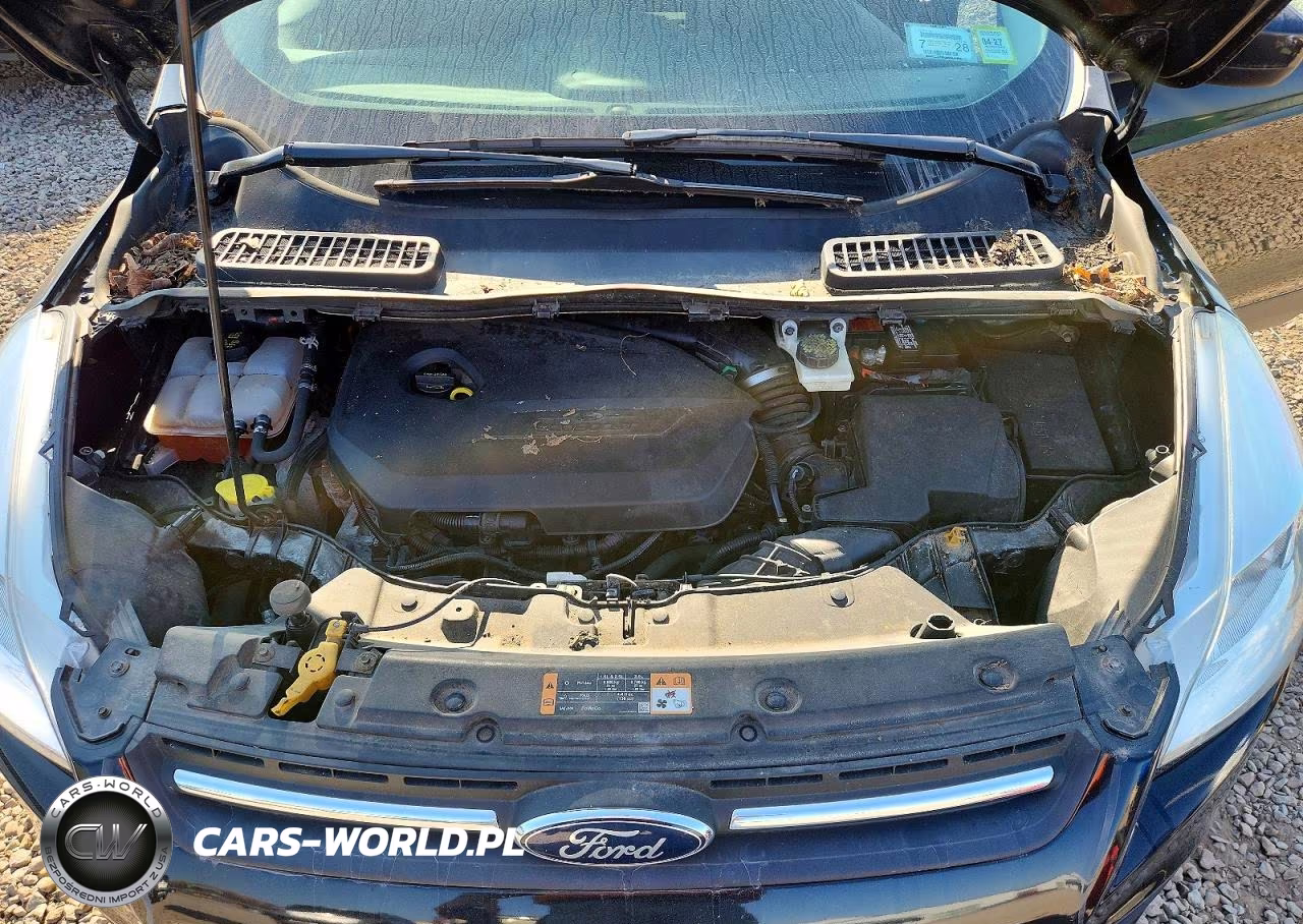 2014 Ford Escape Se VIN:1FMCU9GX2EUB36702 - 12