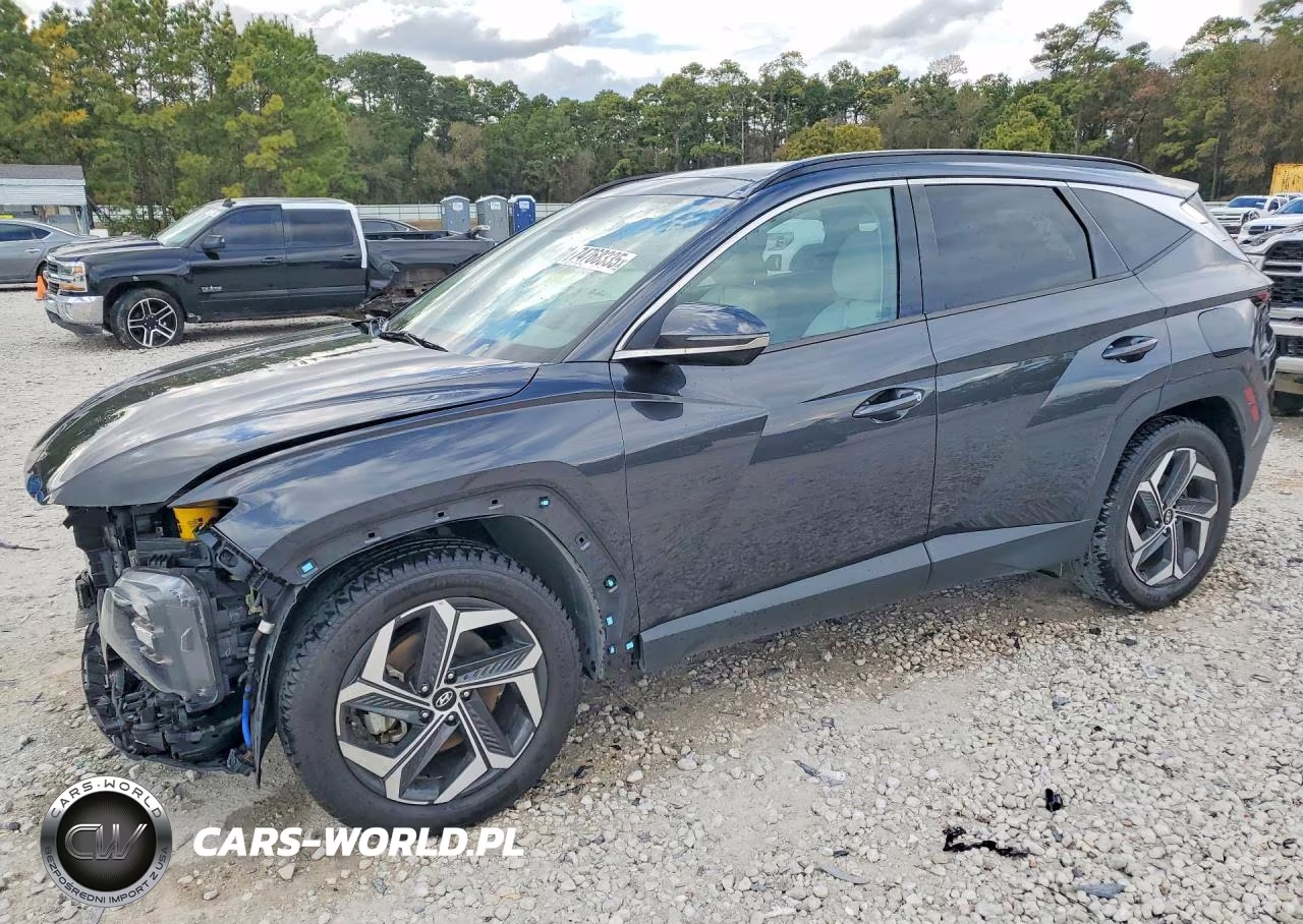 2022 Hyundai Tucson Limited VIN:5NMJE3AE0NH028566 - 1