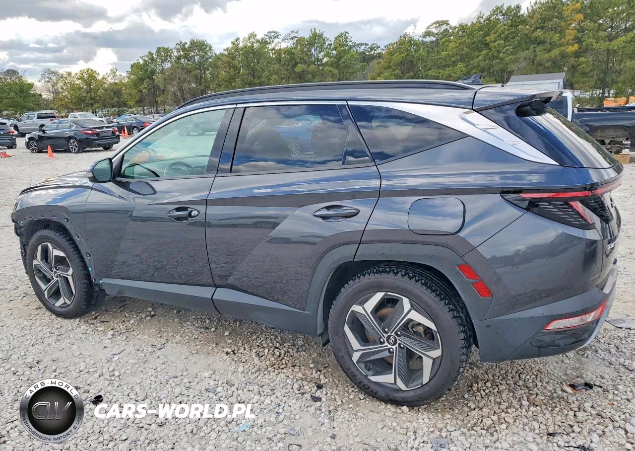 2022 Hyundai Tucson Limited VIN:5NMJE3AE0NH028566 - 2