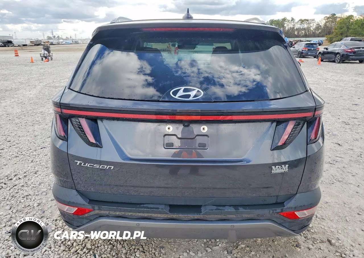 2022 Hyundai Tucson Limited VIN:5NMJE3AE0NH028566 - 6