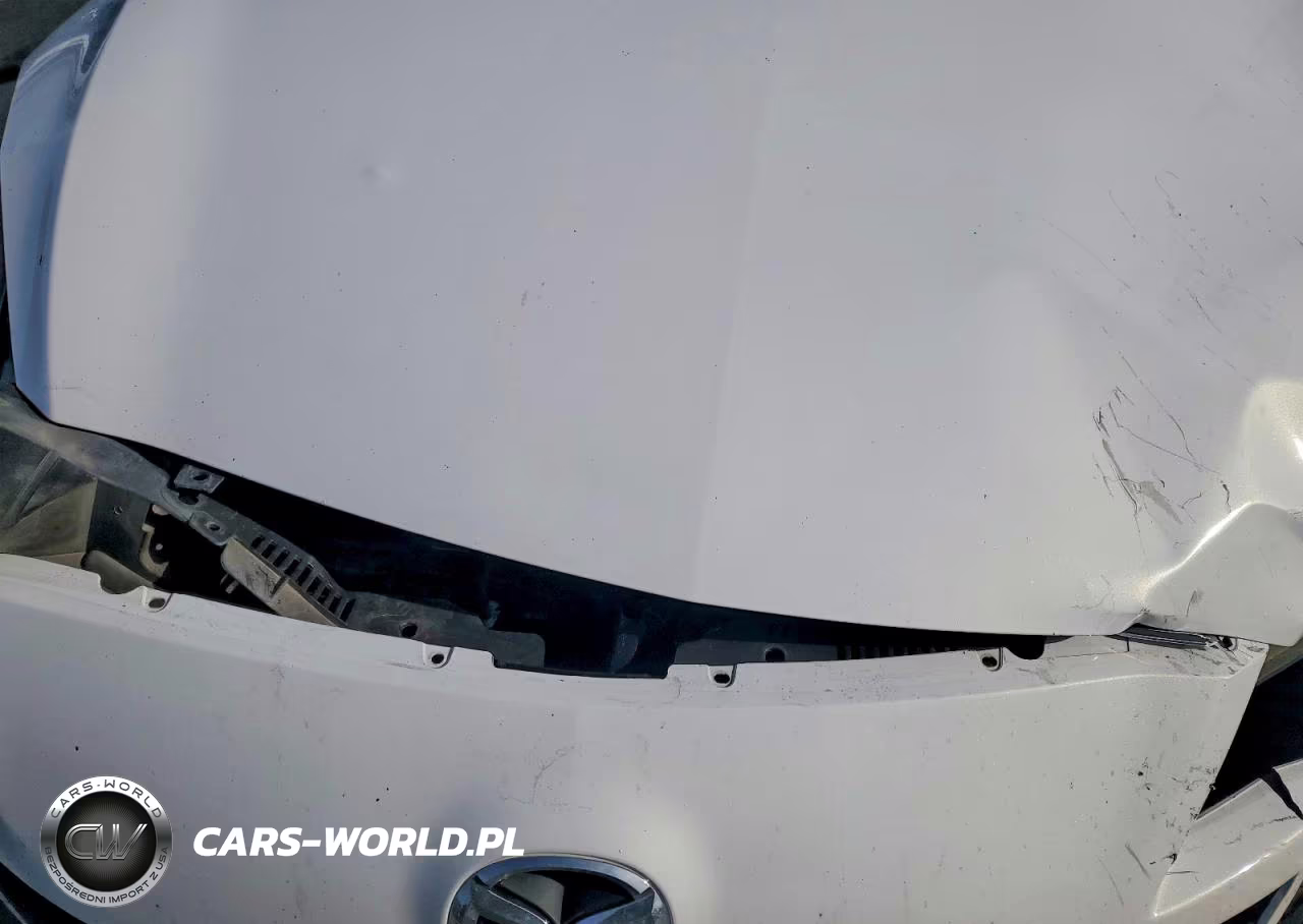 2010 Mazda 3 I VIN:JM1BL1SF0A1312452 - 11