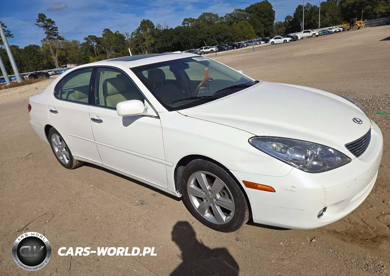 2006 Lexus Es 330 VIN:JTHBA30G065159468 - 4