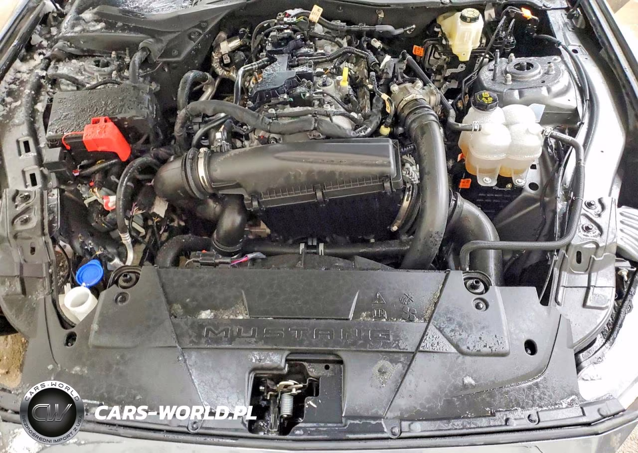 2025 Ford Mustang VIN:1FA6P8TH7S5110528 - 11