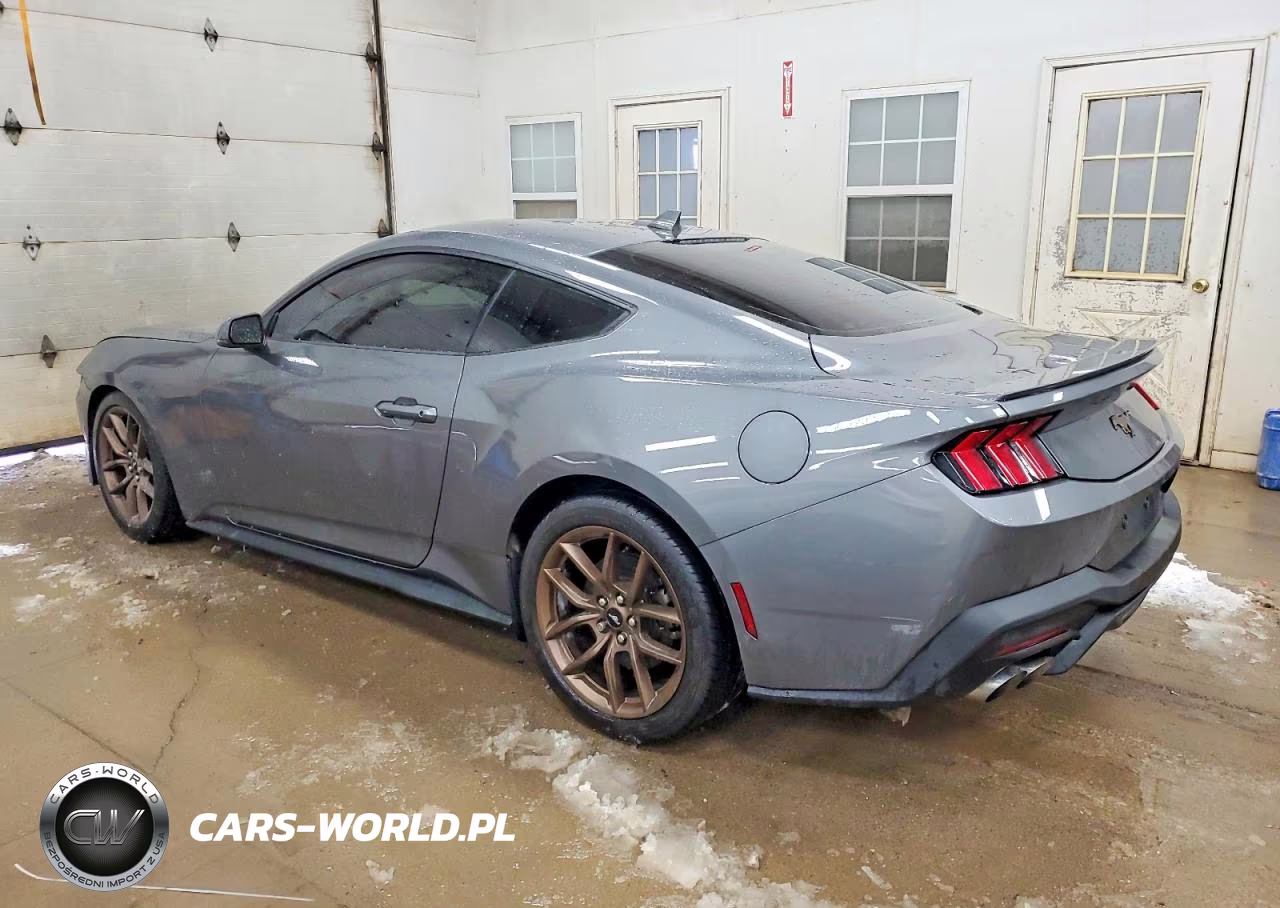 2025 Ford Mustang VIN:1FA6P8TH7S5110528 - 2