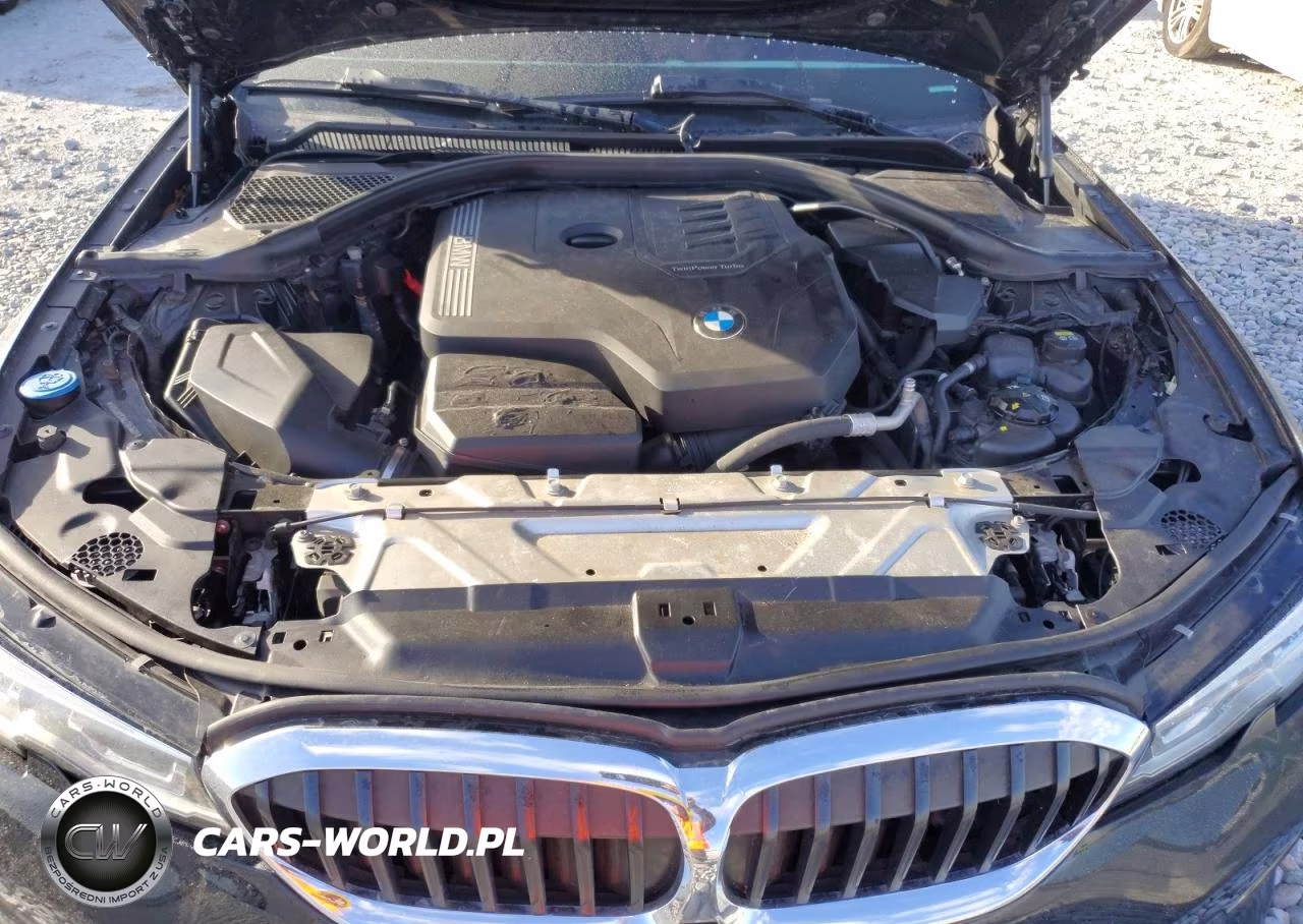 2020 BMW 330I VIN:WBA5R1C00LFH39402 - 11