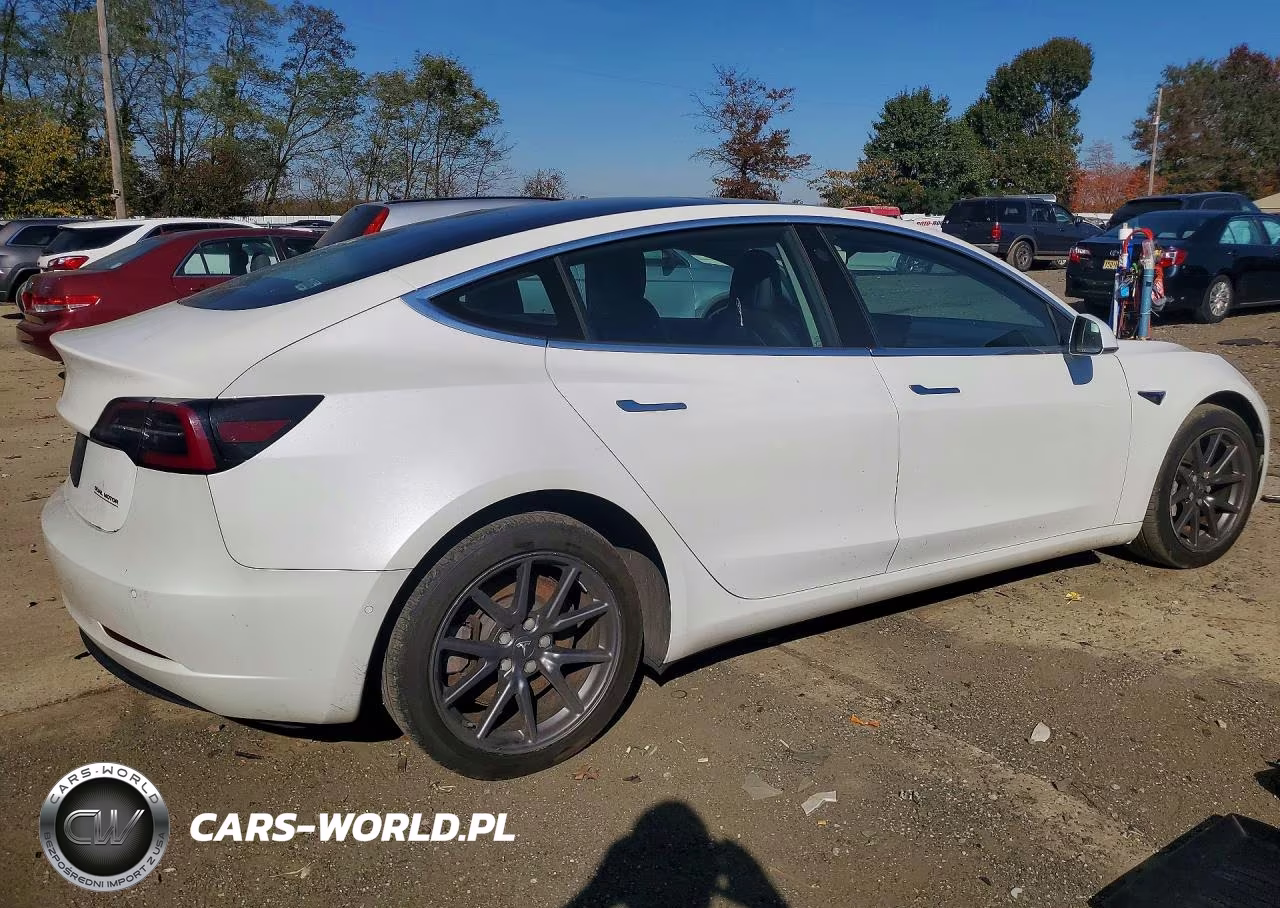 2019 Tesla Model 3 VIN:5YJ3E1EBXKF433246 - 3