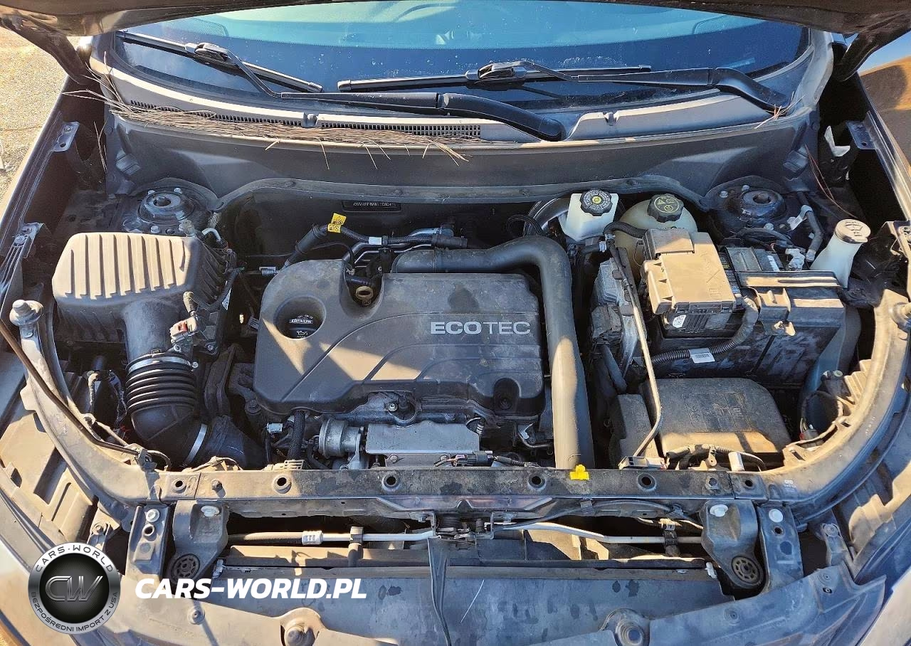 2019 Chevrolet Equinox Lt VIN:2GNAXKEV6K6177363 - 12
