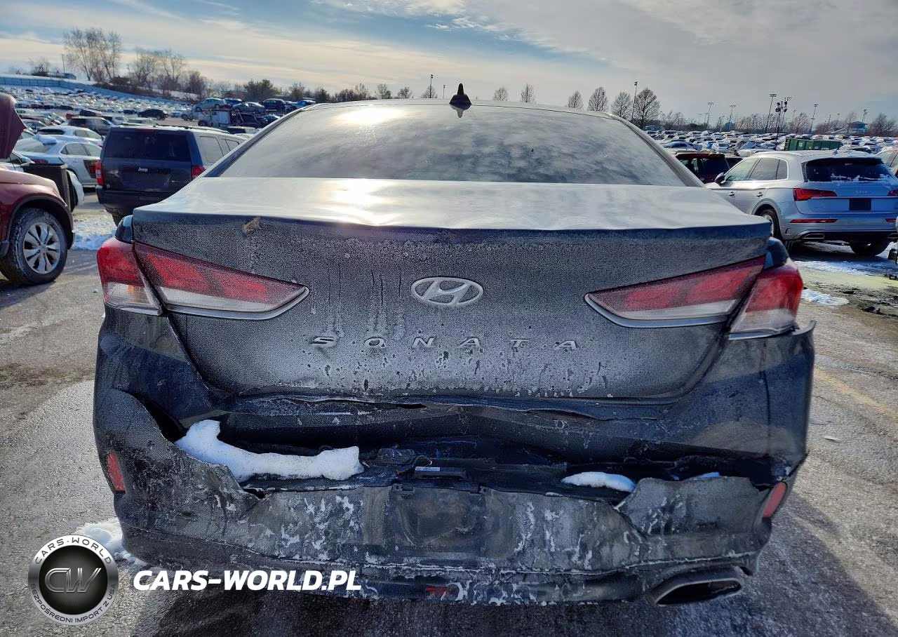 2019 Hyundai Sonata Sel VIN:5NPE34AF6KH807443 - 6