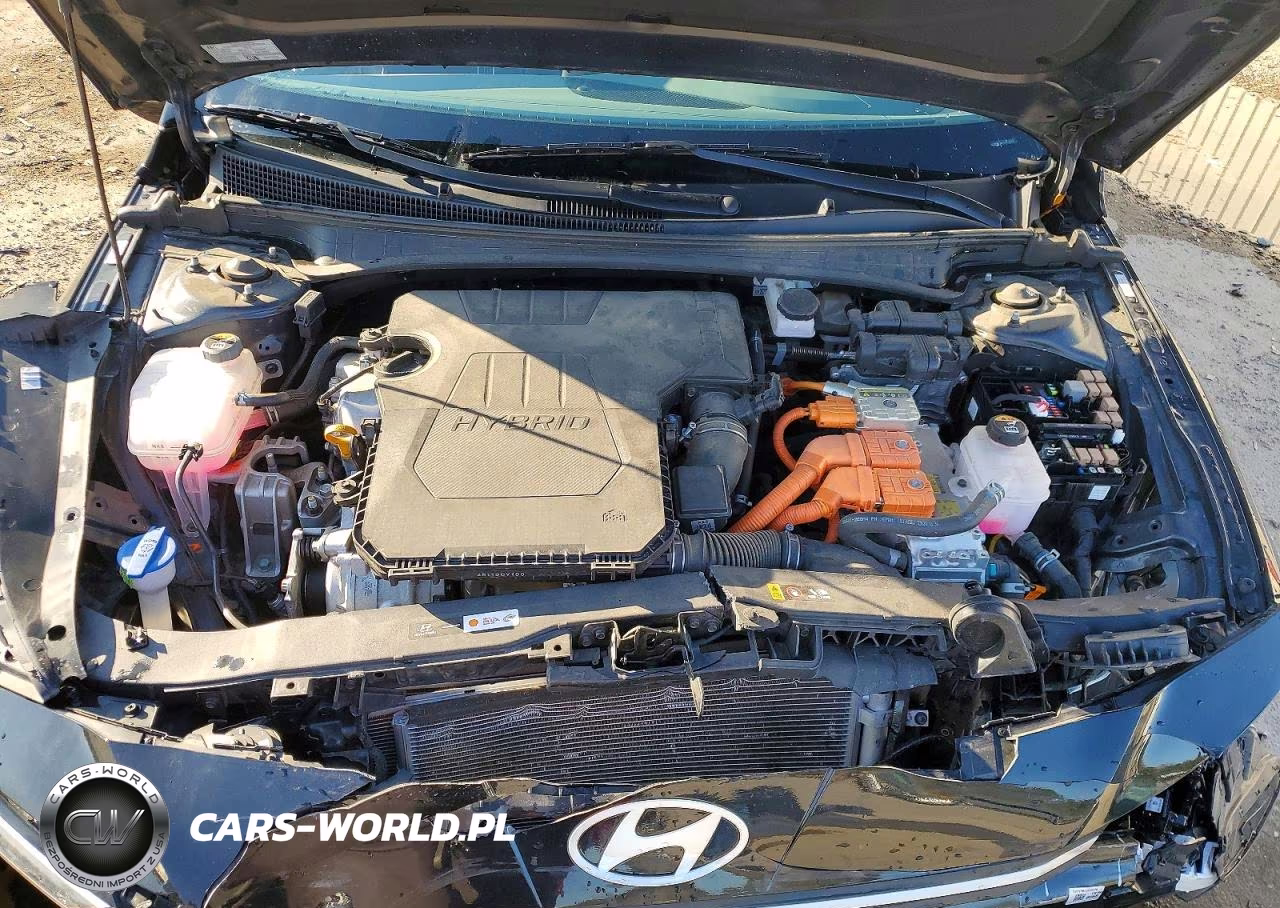 2024 Hyundai Elantra Hybrid Blue VIN:KMHLM4DJ0RU100807 - 11