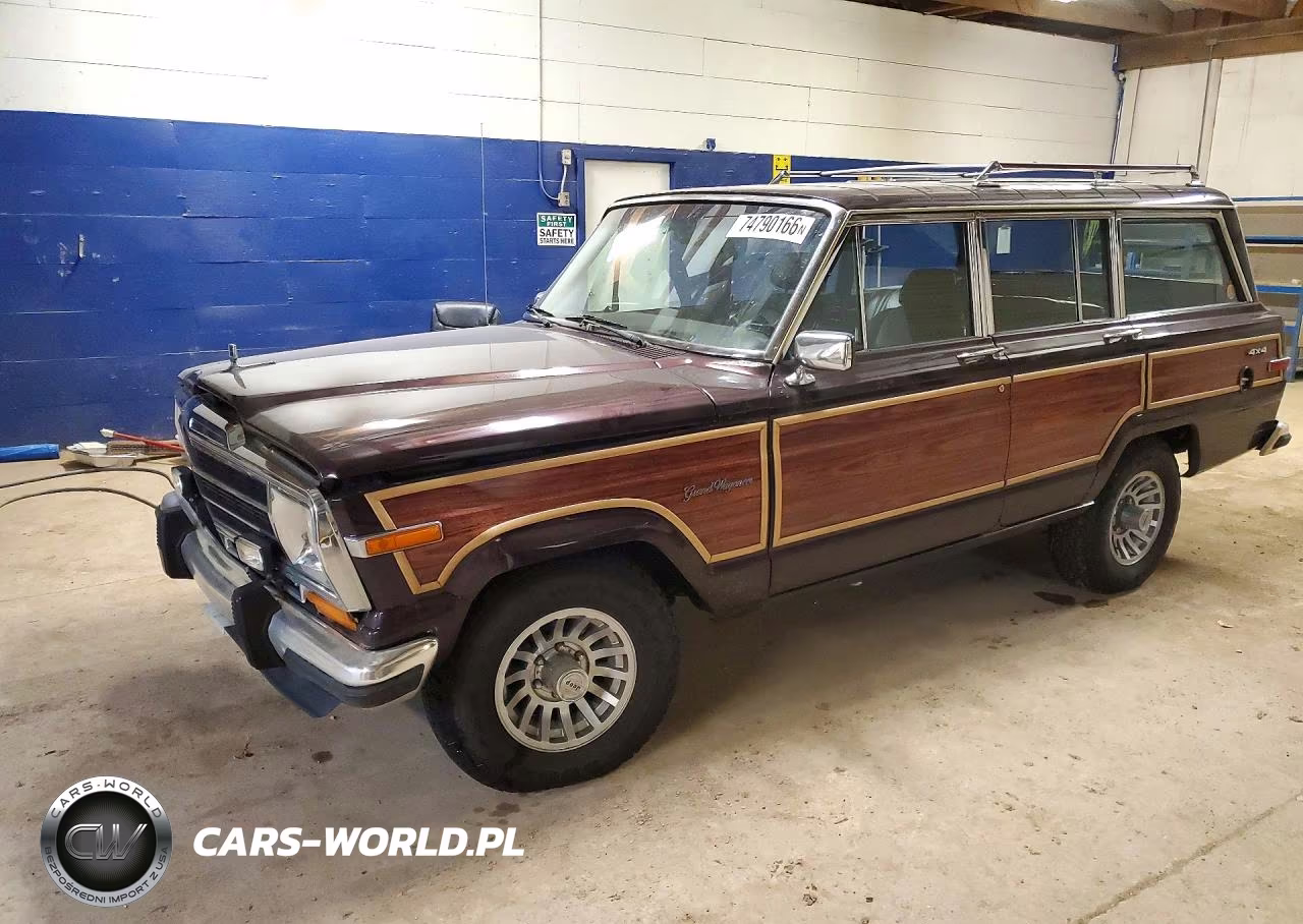 1991 Jeep Grand Wagoneer VIN:1J4GS5871MP801602 - 1