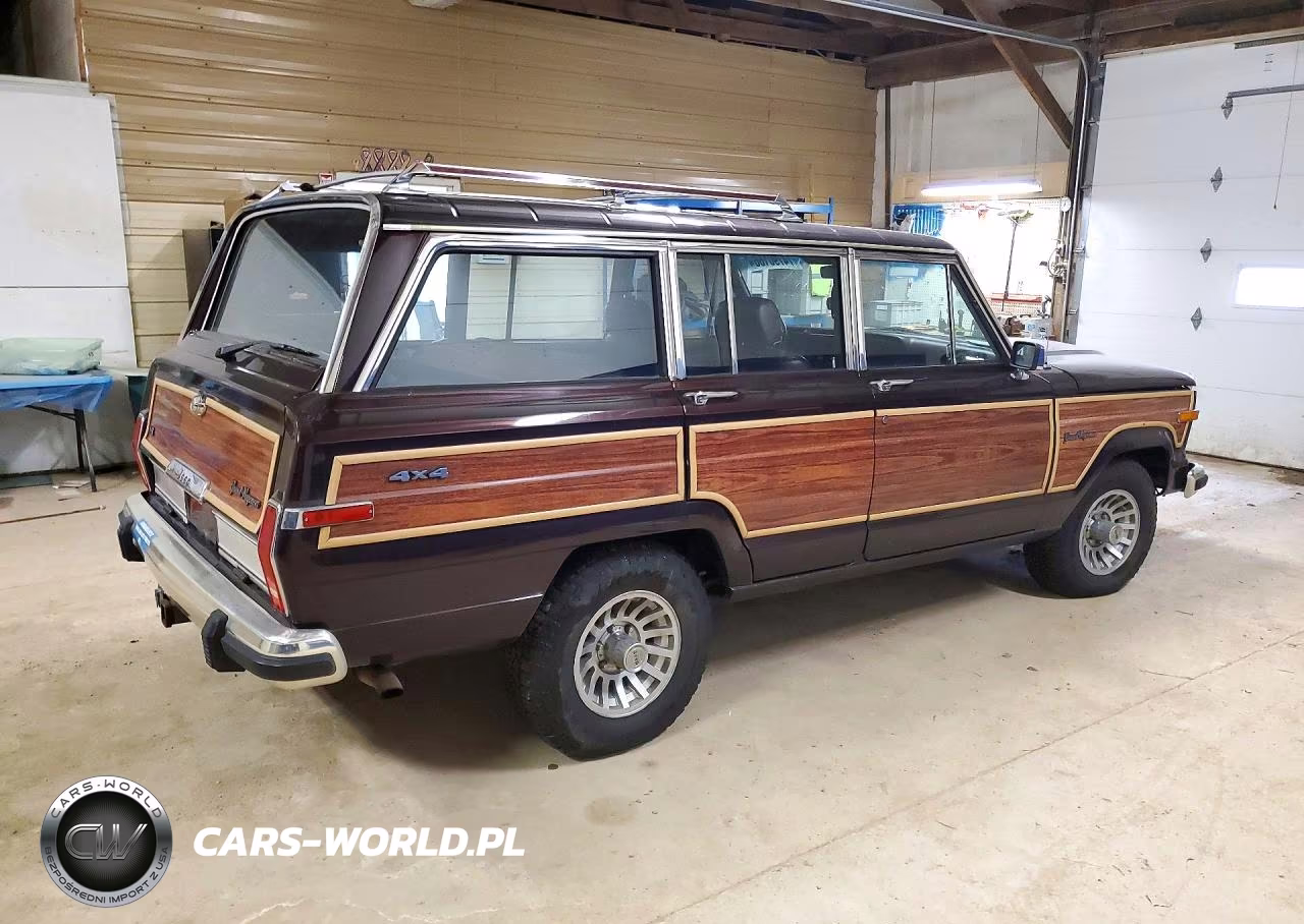 1991 Jeep Grand Wagoneer VIN:1J4GS5871MP801602 - 3