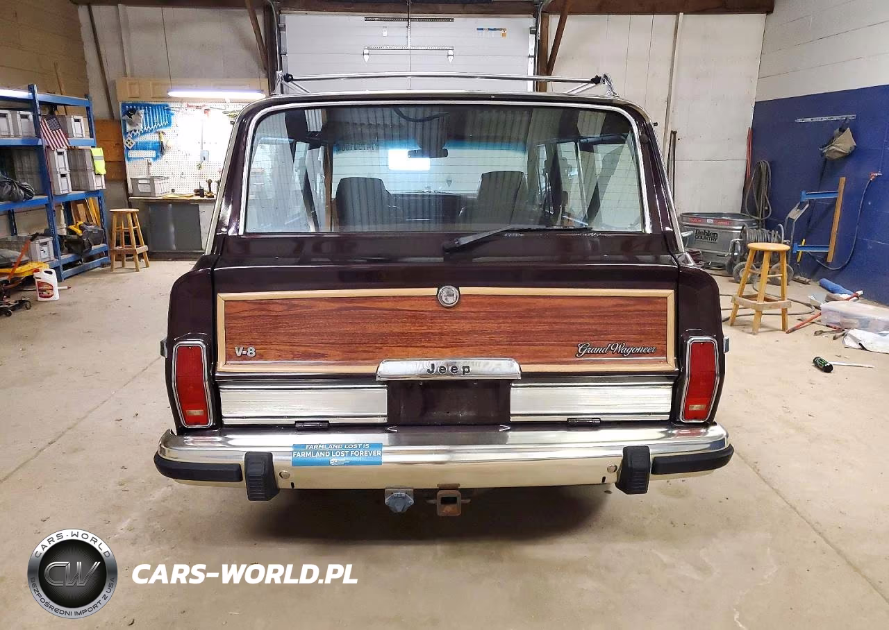 1991 Jeep Grand Wagoneer VIN:1J4GS5871MP801602 - 6