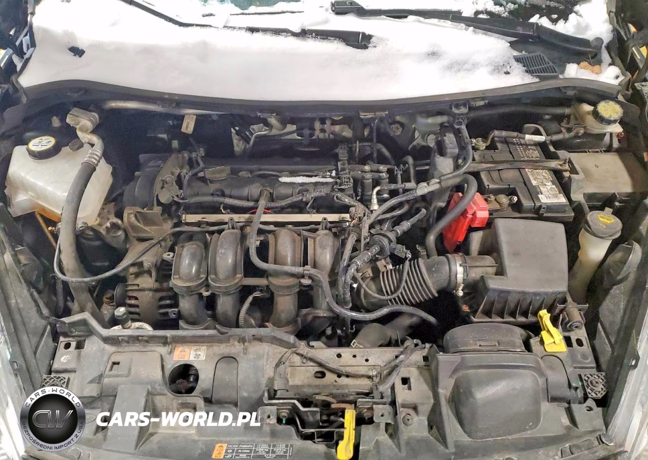 2015 Ford Fiesta Se VIN:3FADP4BJ4FM210753 - 11