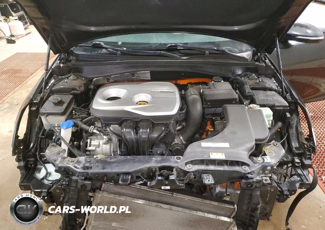 2017 Kia Optima Hybrid VIN:KNAGT4LE5H5011270 - 11