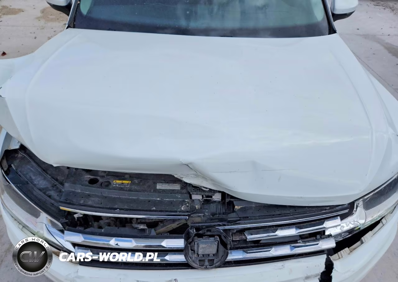 2019 Volkswagen Tiguan Se VIN:3VV3B7AX8KM187825 - 12