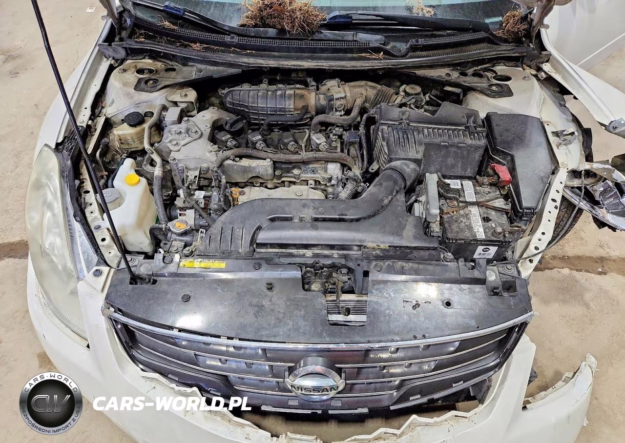 2010 Nissan Altima Base VIN:1N4AL2AP9AC189143 - 11