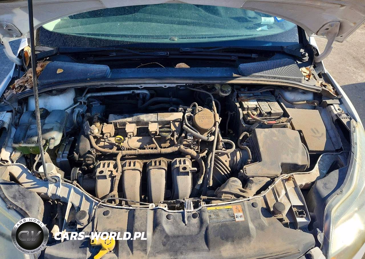 2014 Ford Focus Se VIN:1FADP3K2XEL185666 - 11