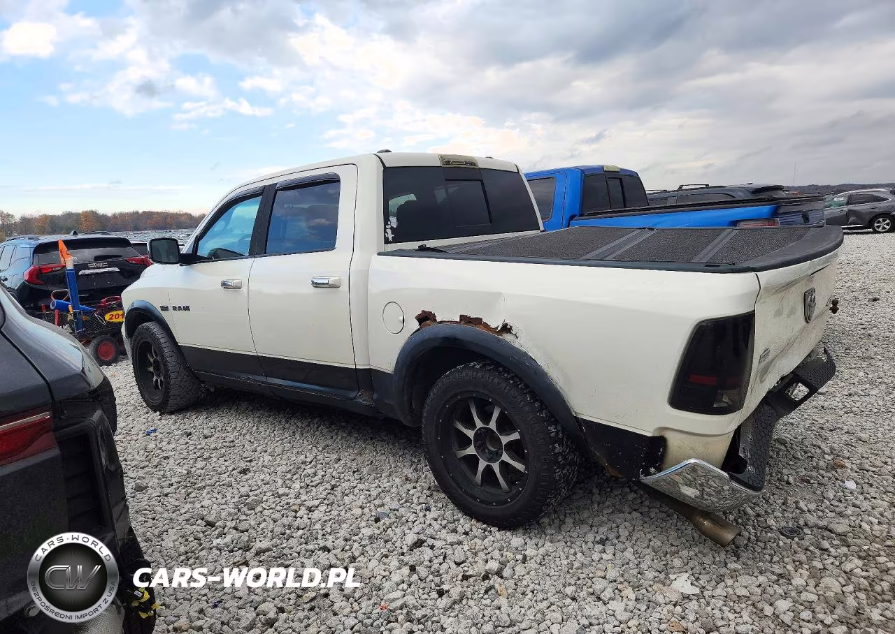 2009 Dodge Ram 1500 VIN:1D3HV13T89S746771 - 2