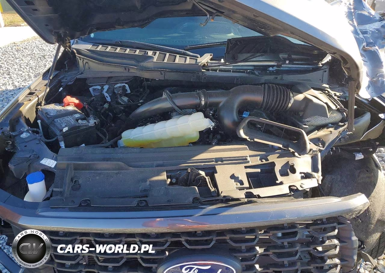 2024 Ford F150 Stx VIN:1FTEX2KP7RKF50367 - 11