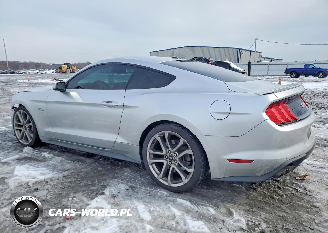 2019 Ford Mustang Gt VIN:1FA6P8CF7K5164247 - 2