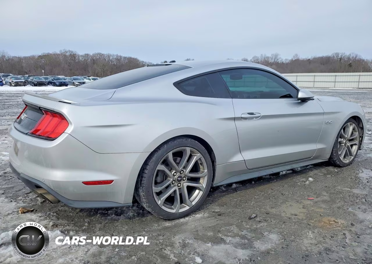 2019 Ford Mustang Gt VIN:1FA6P8CF7K5164247 - 3