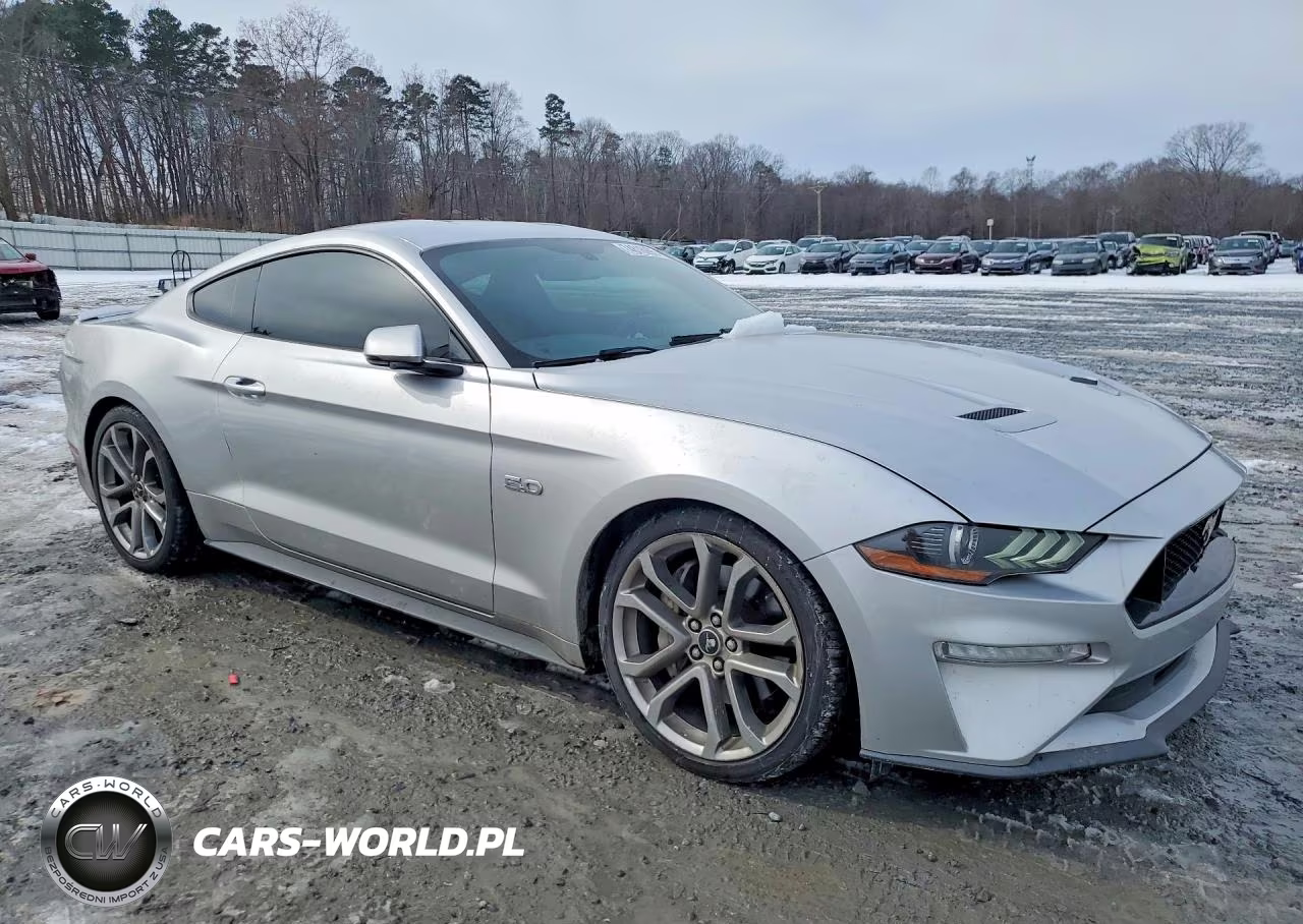 2019 Ford Mustang Gt VIN:1FA6P8CF7K5164247 - 4