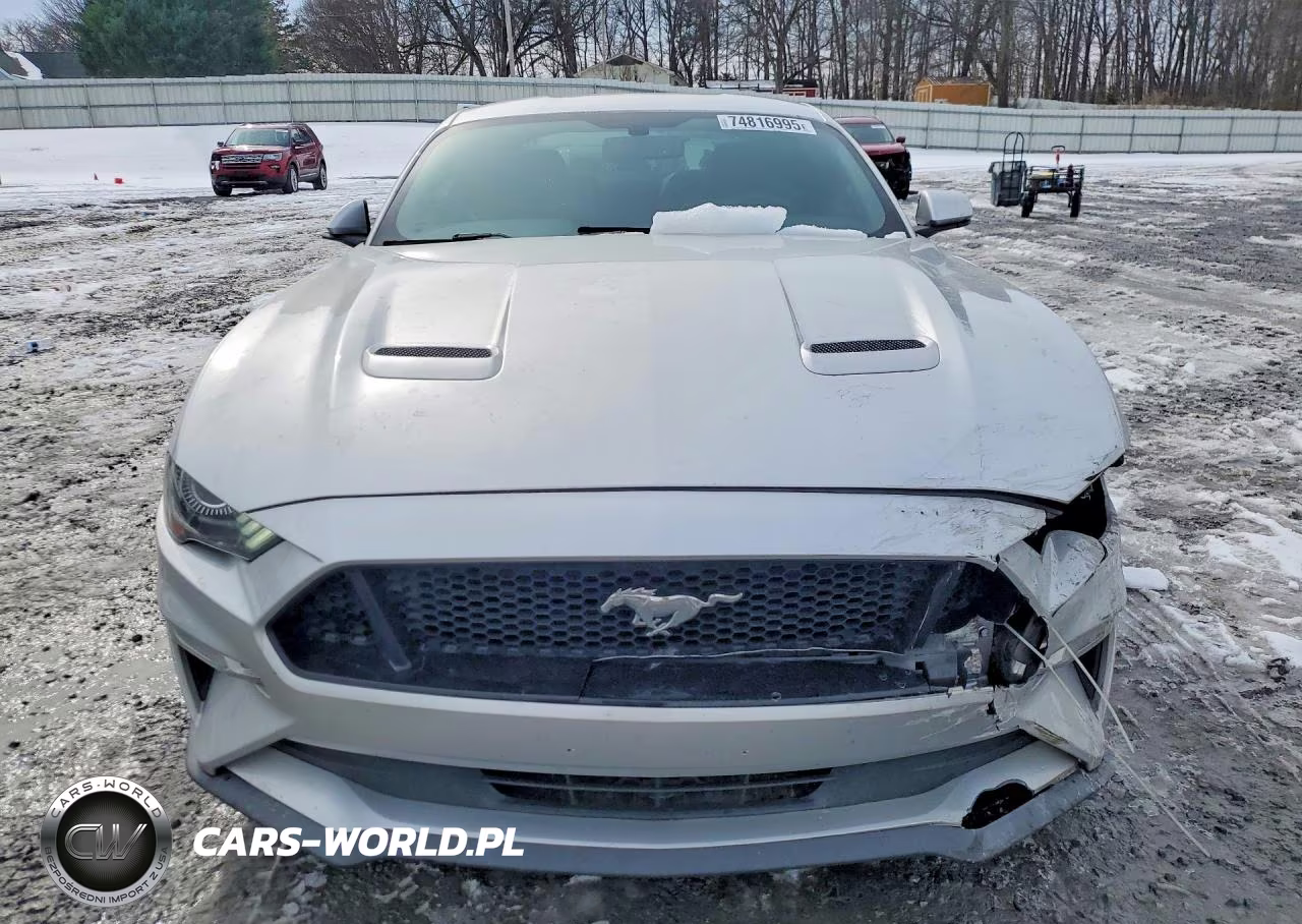 2019 Ford Mustang Gt VIN:1FA6P8CF7K5164247 - 5