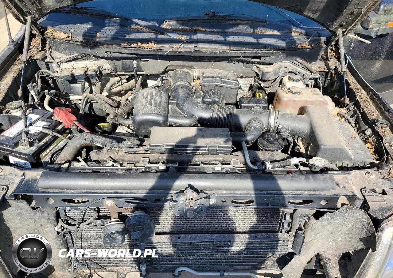 2010 Ford F150 Supercrew VIN:1FTFW1EV7AFB32187 - 11