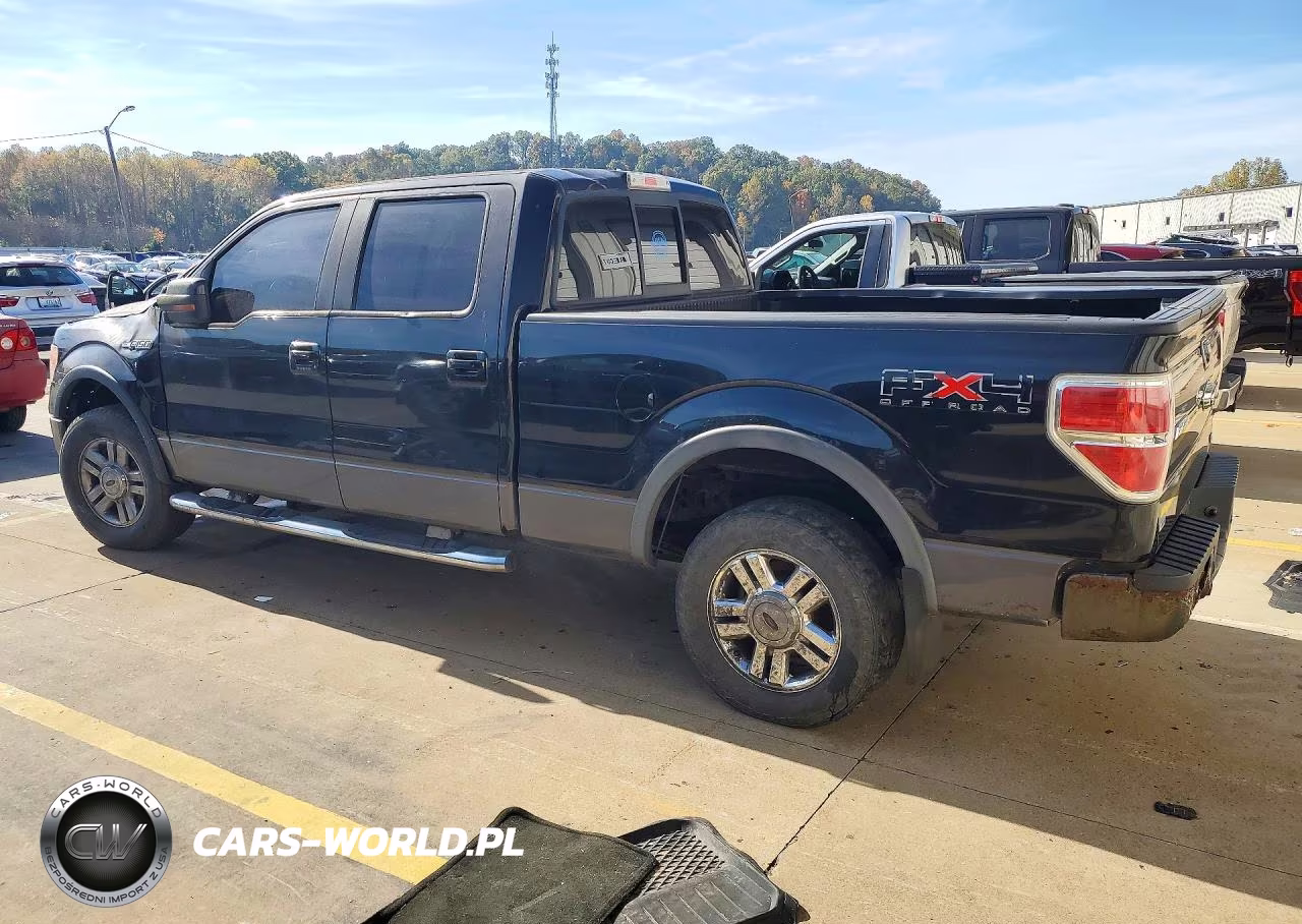 2010 Ford F150 Supercrew VIN:1FTFW1EV7AFB32187 - 2
