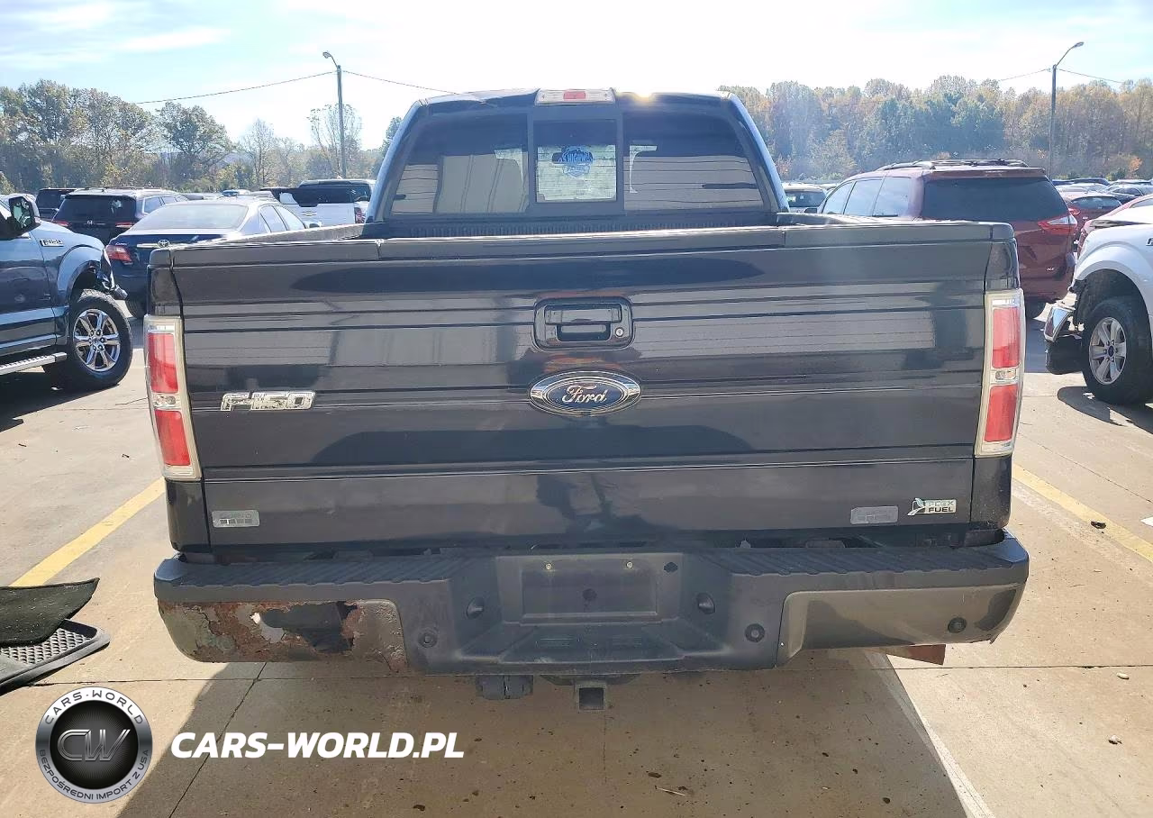 2010 Ford F150 Supercrew VIN:1FTFW1EV7AFB32187 - 6