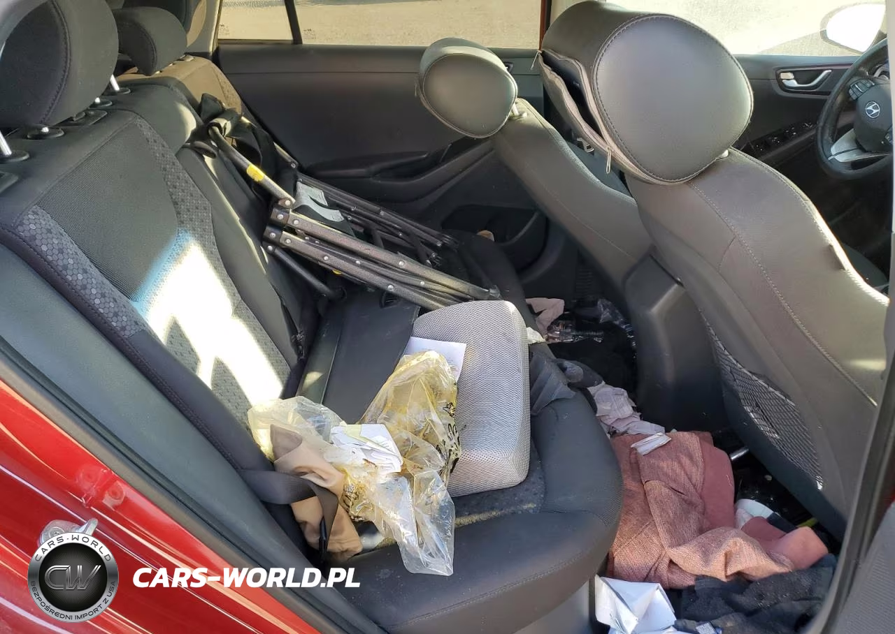 2019 Hyundai Ioniq Sel VIN:KMHC75LC4KU130804 - 10
