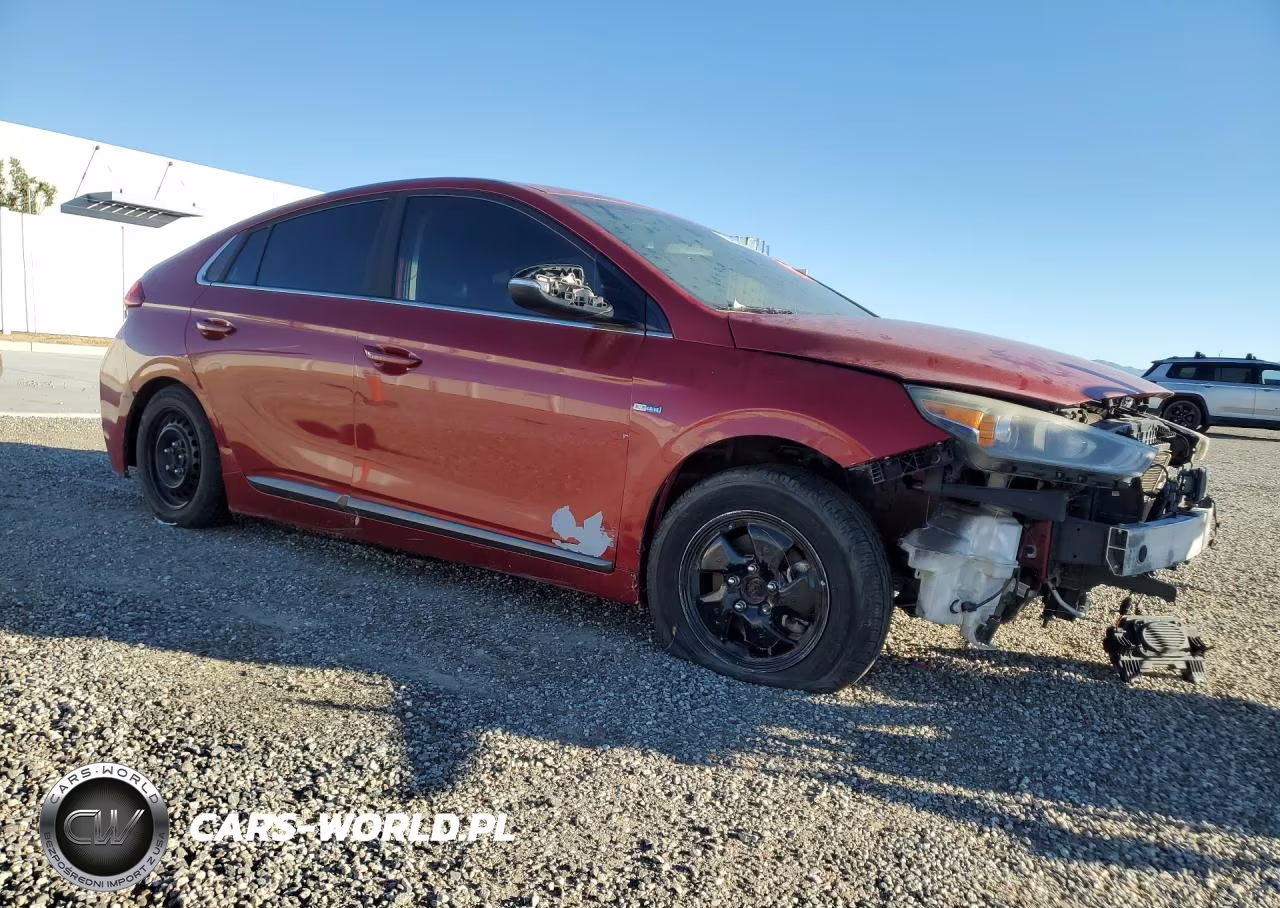 2019 Hyundai Ioniq Sel VIN:KMHC75LC4KU130804 - 4