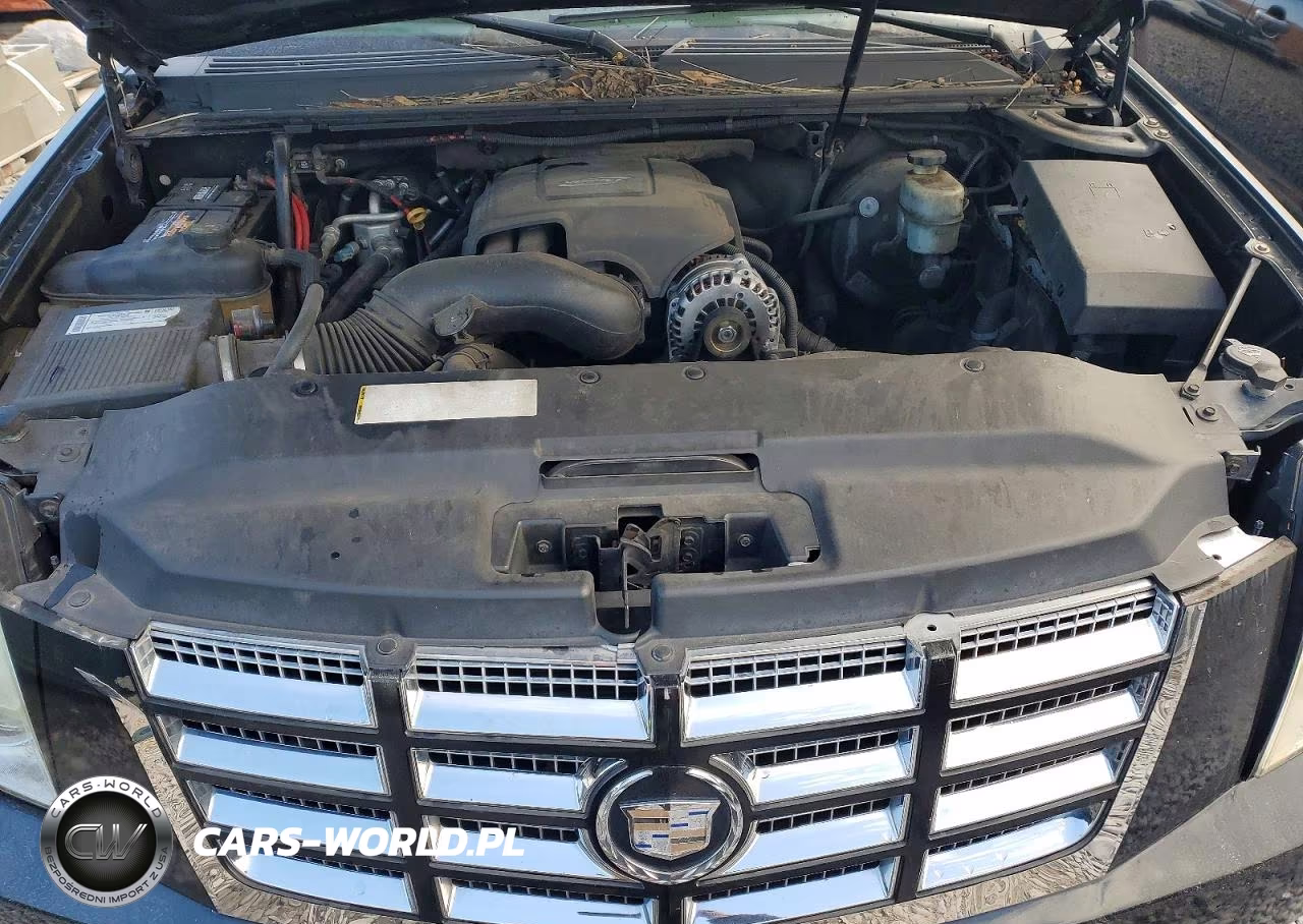 2007 Cadillac Escalade Luxury VIN:1GYEC63837R344911 - 12