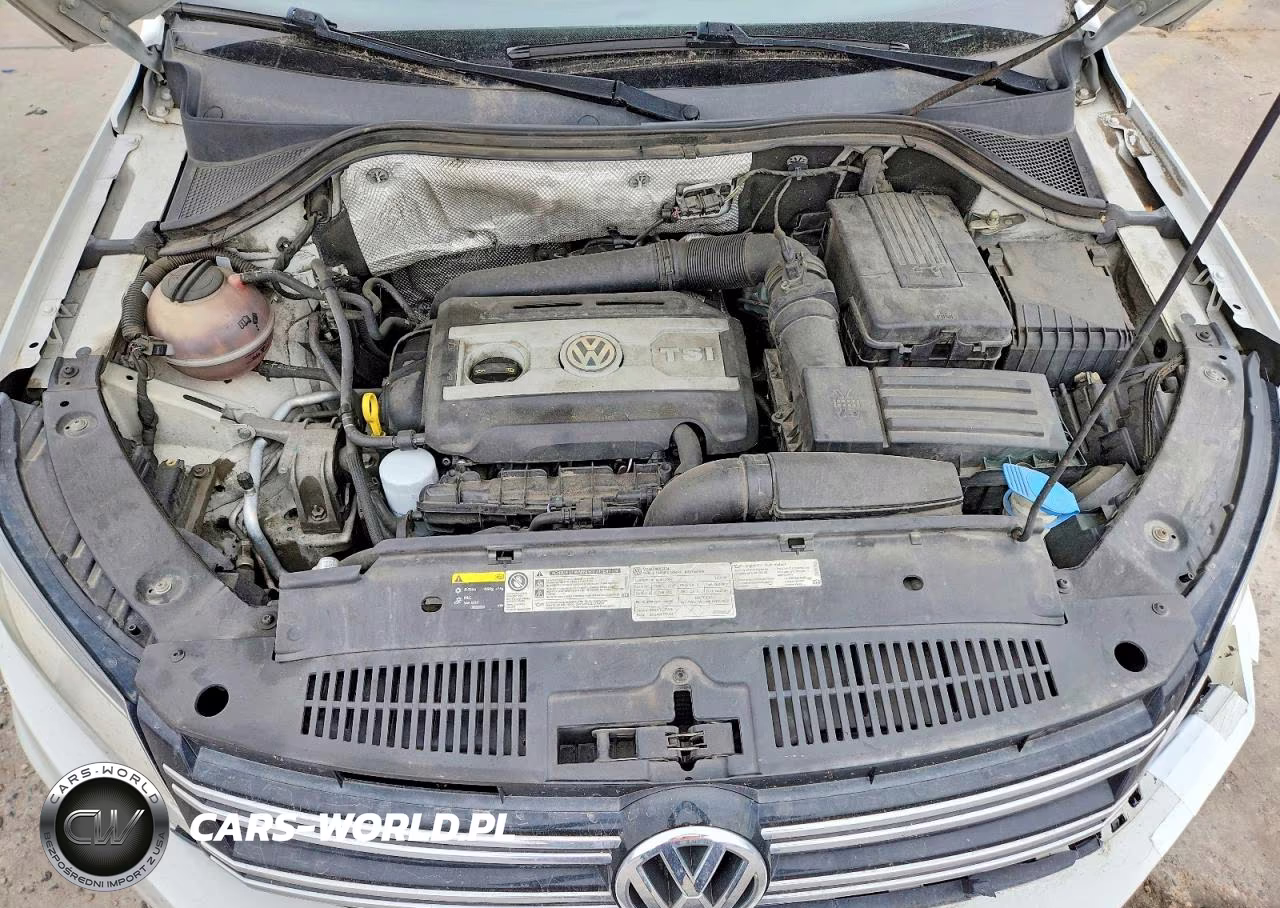 2016 Volkswagen Tiguan S VIN:WVGAV7AX9GW582600 - 12