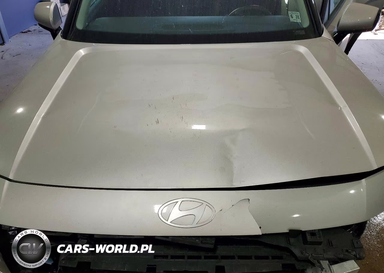 2026 Hyundai Palisade Sel VIN:KM8RL5S23TU120524 - 12
