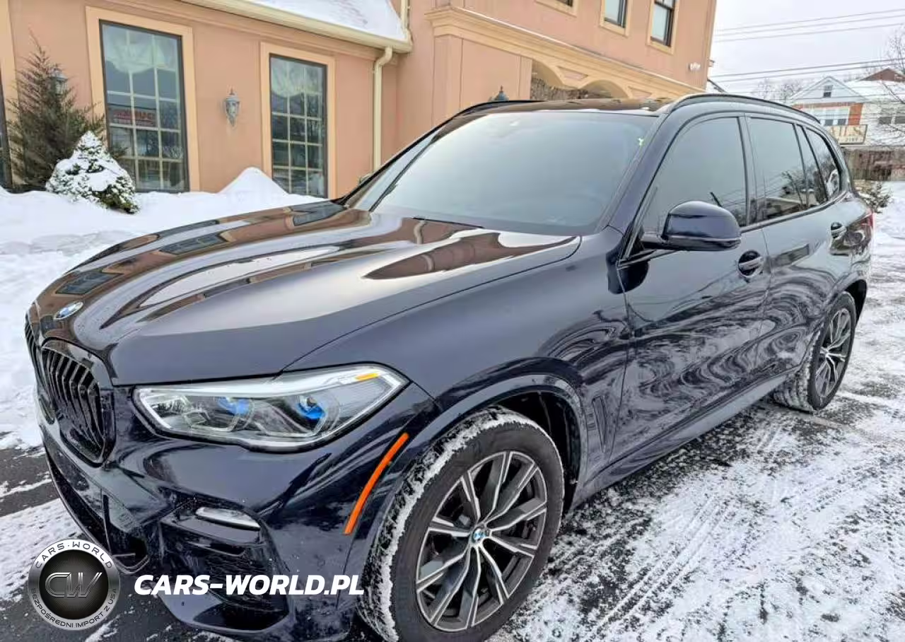 2019 BMW X5 xDrive50I