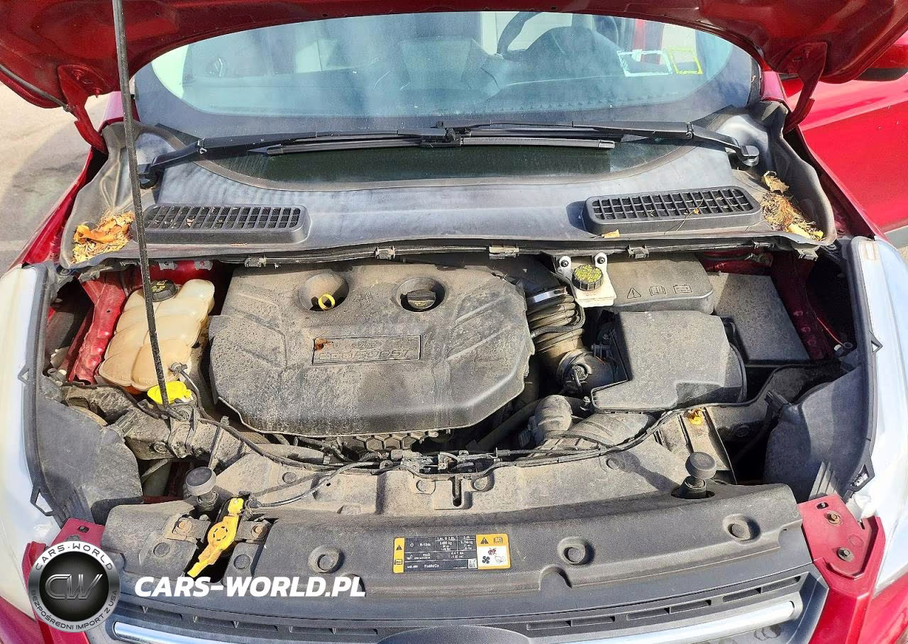 2016 Ford Escape Se VIN:1FMCU9G91GUA58918 - 12