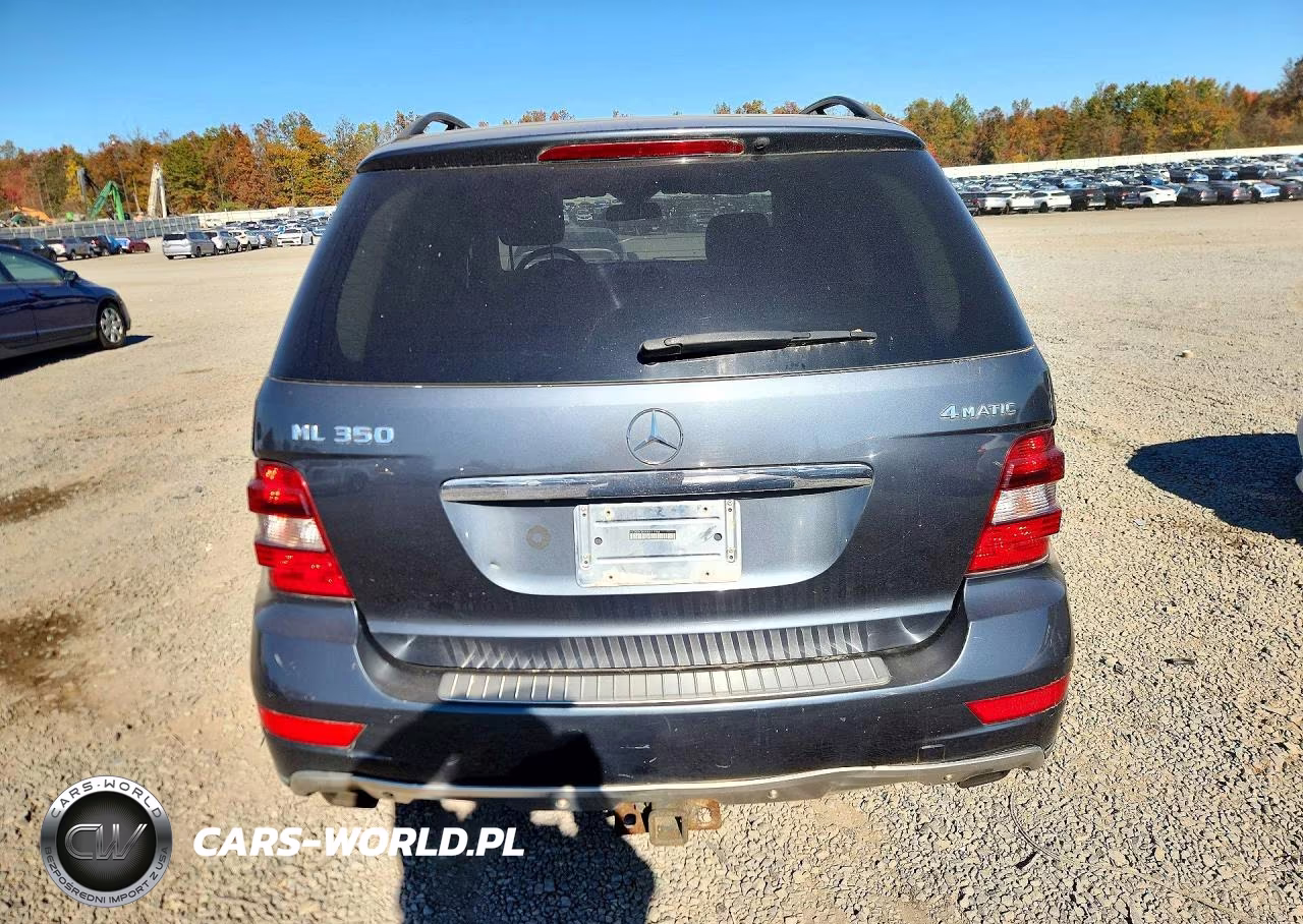 2010 Mercedes-Benz Ml 350 4Matic VIN:4JGBB8GB5AA611156 - 6