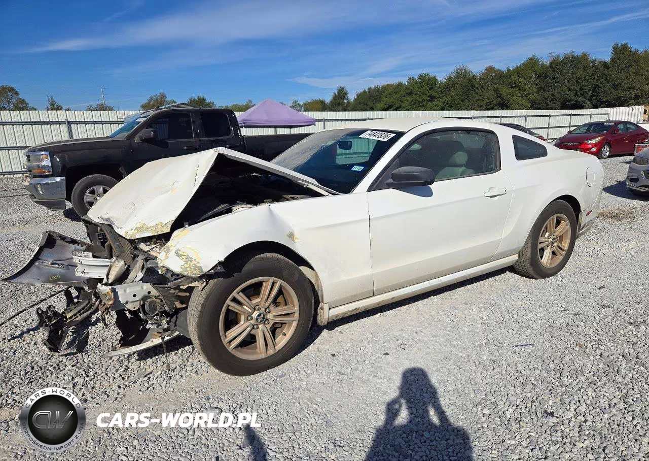 2014 Ford Mustang – zdjęcie 1 z 13