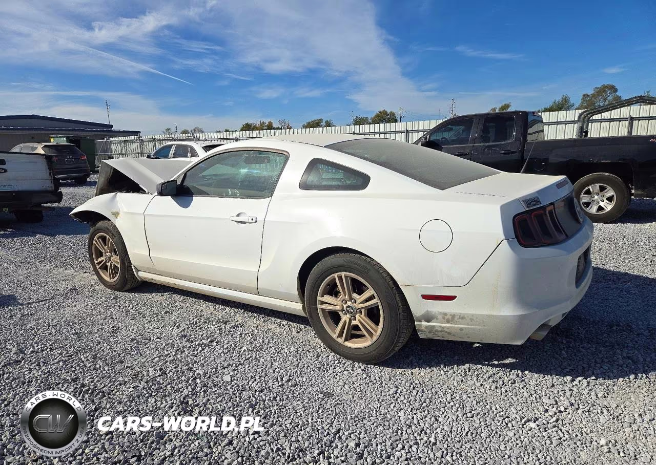 2014 Ford Mustang VIN:1ZVBP8AM7E5274758 - 2